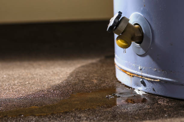 Best Local water damage restoration  in Barberton, WA