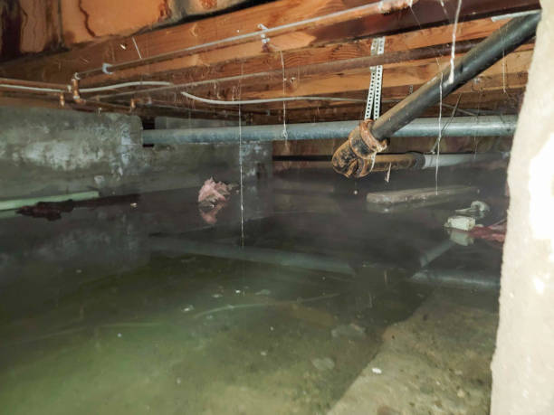 Best Flooded house restoration  in Barberton, WA