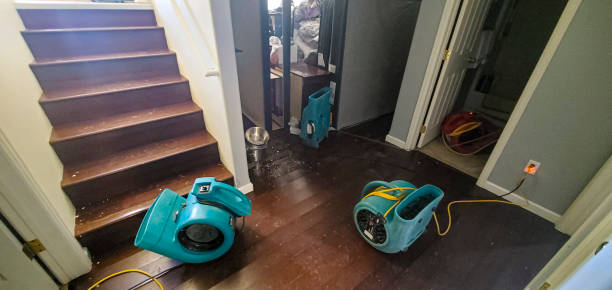 Best Ceiling water damage repair  in Barberton, WA