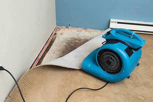 Best Water damage contractors near me  in Barberton, WA